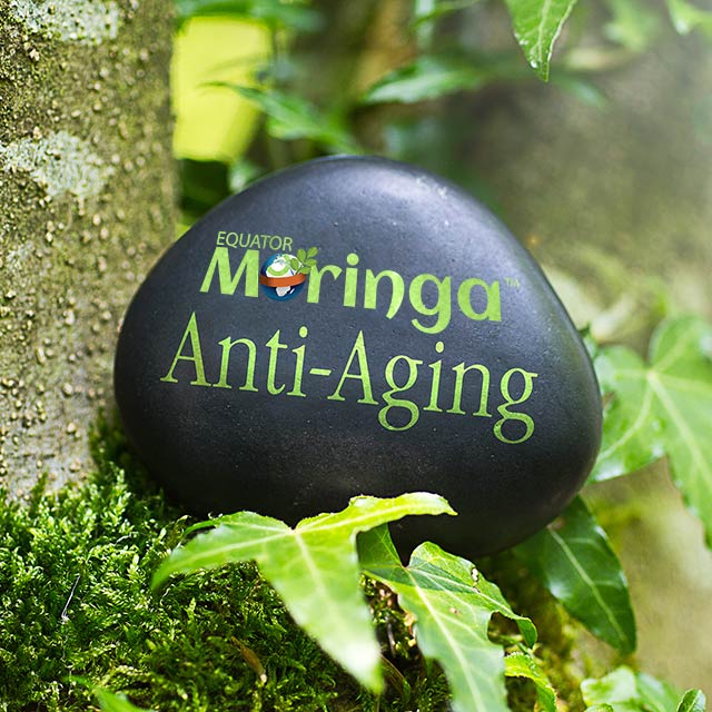 Moringa can slow down the aging process