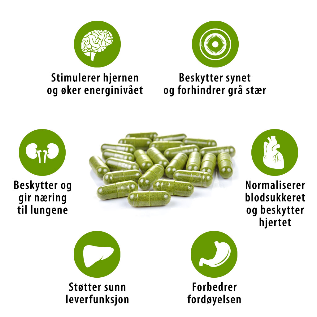 Hvordan moringa hjelper helsen din